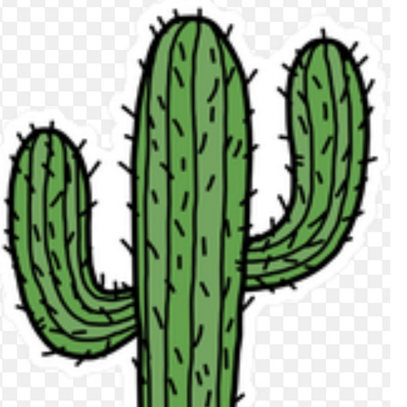 nooby_cactus